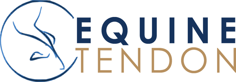 Equine Tendon